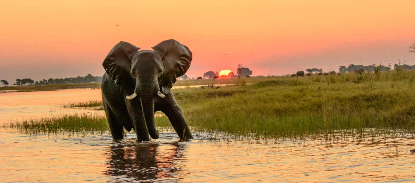 Welcome To Botswana