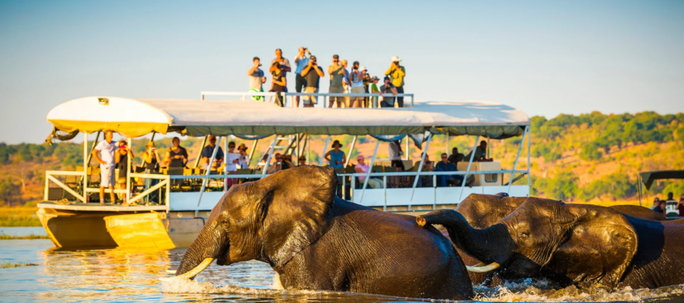 Mokoro Safari Experience