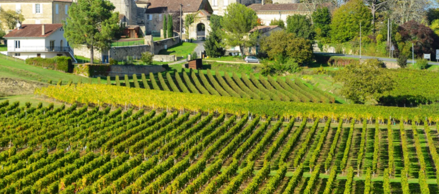 The Wines Of Médoc